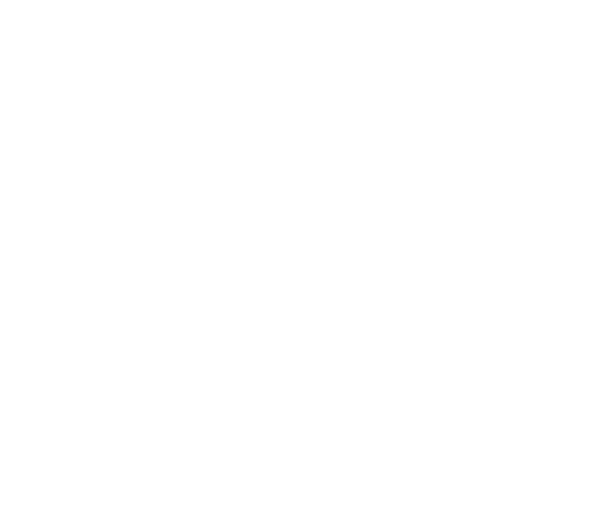 YouTube Logo weiß